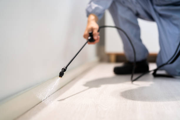 Licensed Wasp Removal service in Marshallville, GA - Show Me Pest Control