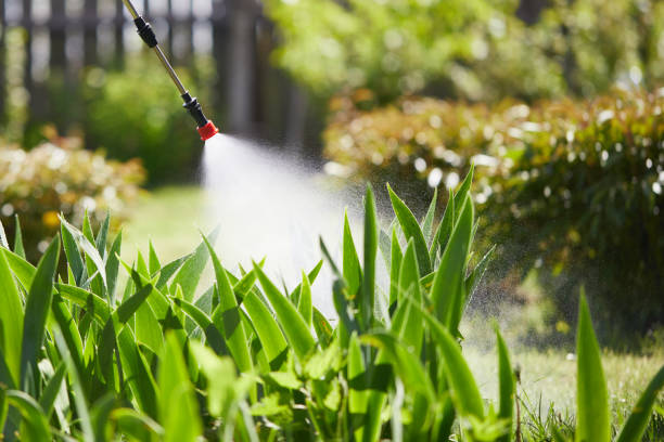 24/7 Emergency Wasp Removal experts in Marshallville, GA