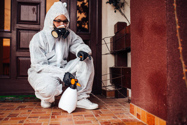 Reliable Wasp Removal contractor in Marshallville, GA by Show Me Pest Control