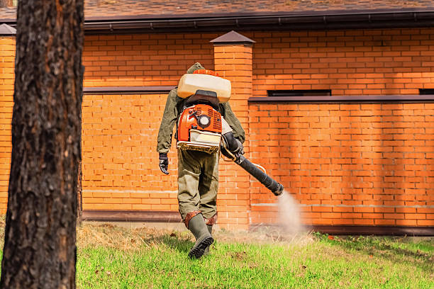 Top rated local Wasp Removal specialists in Marshallville, GA